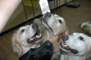 1380944800-3162454423