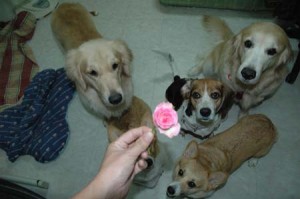 1380944800-3658488049