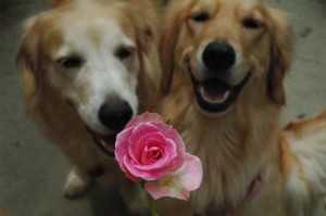 1380944801-3530978662