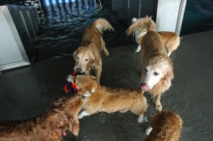 1380944826-3425224949