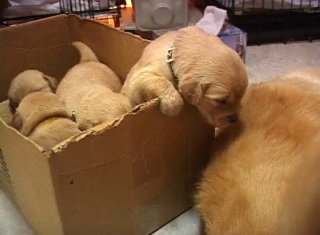 1380944842-3781368286