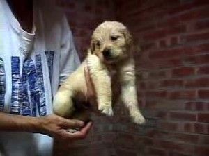 1380944843-1326186491