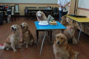 1380944844-2686108499