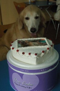 1380944844-794441108