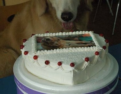 1380944844-794441108