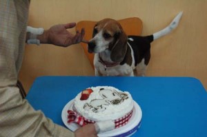 1380944846-2626215017