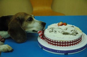 1380944846-603884910