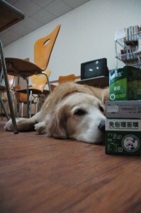 1380944903-2168813601