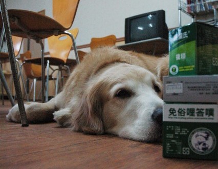 1380944903-2168813601