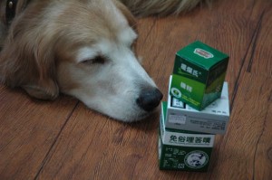 1380944904-1144103182