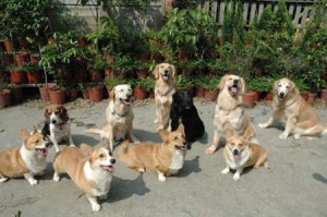 1380944943-1818083566