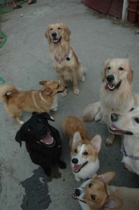 1380944944-3808072387