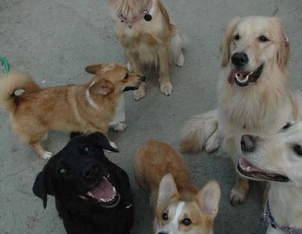 1380944944-3808072387