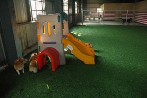 1380944951-2763955264