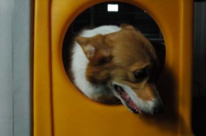 1380944953-265582963