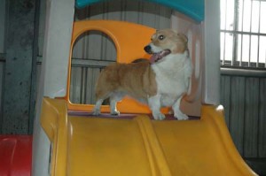 1380944953-3219716259