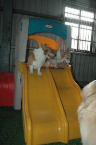 1380944953-3849040817