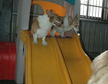 1380944953-3849040817