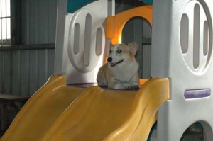 1380944954-1937943377