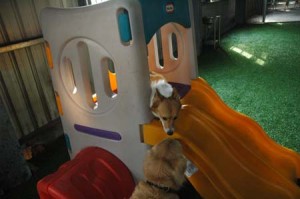 1380944954-2098720545