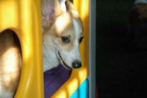 1380944954-3200703852