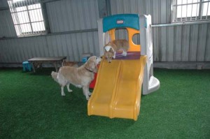 1380944955-1933151920