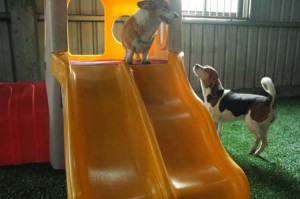 1380944955-3619522172