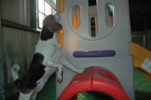 1380944956-2003645029