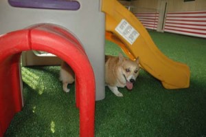 1380944956-4163776243