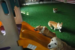 1380944956-641177997