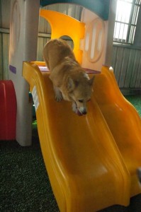 1380944957-4167072119