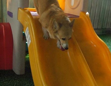 1380944957-4167072119