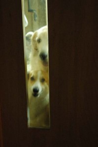 1380944964-2130411822