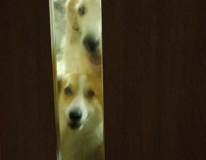 1380944964-2130411822