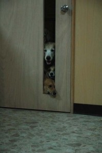 1380944965-1610951104