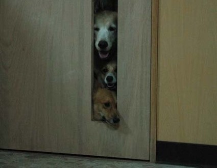 1380944965-1610951104