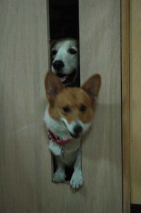 1380944965-4130588766