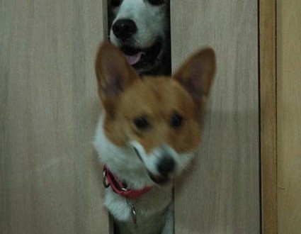 1380944965-4130588766