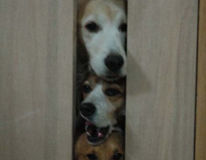 1380944966-1556381129