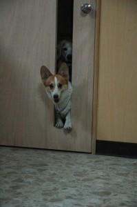 1380944966-3194762708