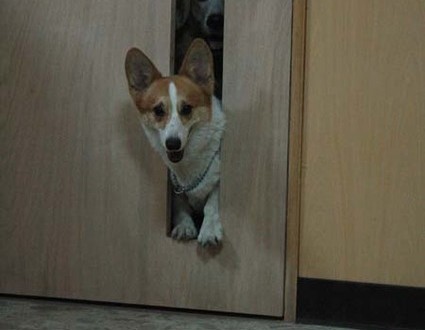 1380944966-3194762708