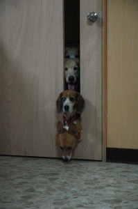 1380944966-812407890