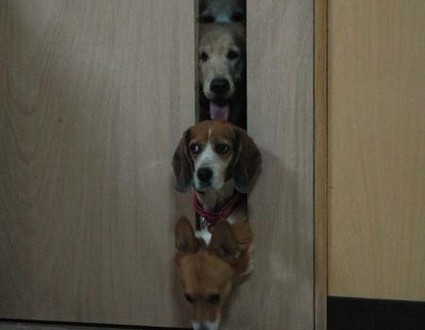 1380944966-812407890