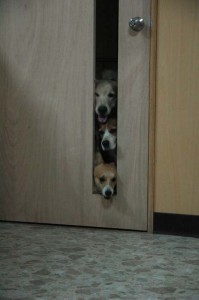 1380944967-3669703556