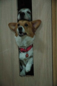 1380944967-441010602