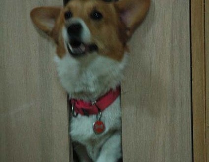 1380944967-441010602