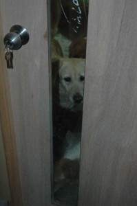 1380944968-1168231836