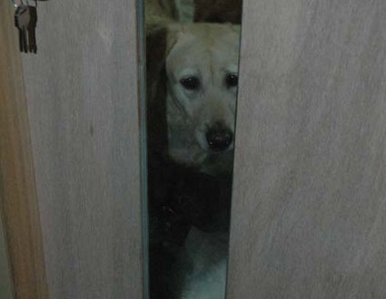 1380944968-1168231836