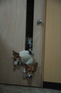 1380944968-3414945706