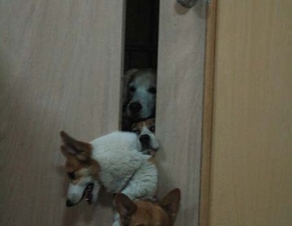 1380944968-3414945706